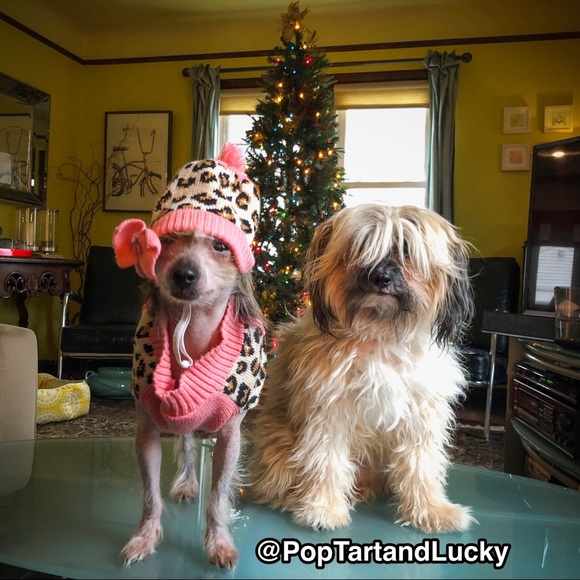 Meet your Posher, Meighan - Picture 2 of 7